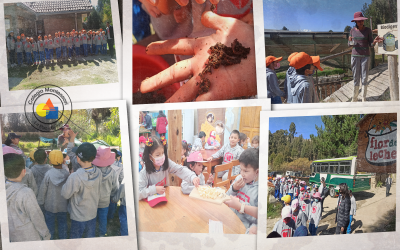 Visita a la planta y granja escuela de “Flor de Leche”