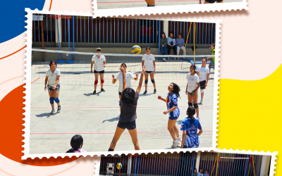 Voleibol