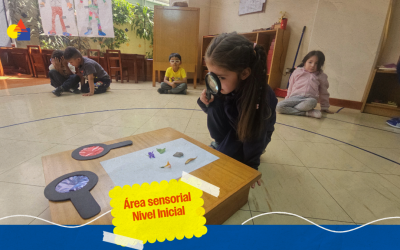 Área sensorial: el sentido de la vista