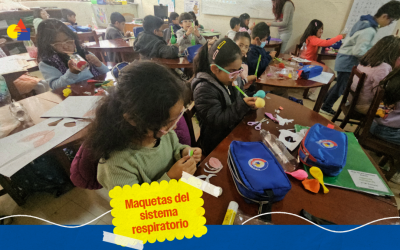 Elaboración de maquetas del sistema respiratorio