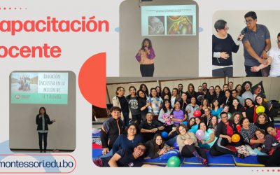 Capacitación docente