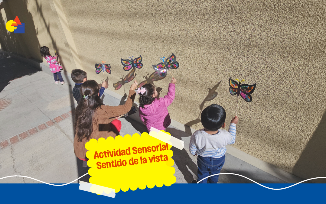 Actividad sensorial – sentido de la vista