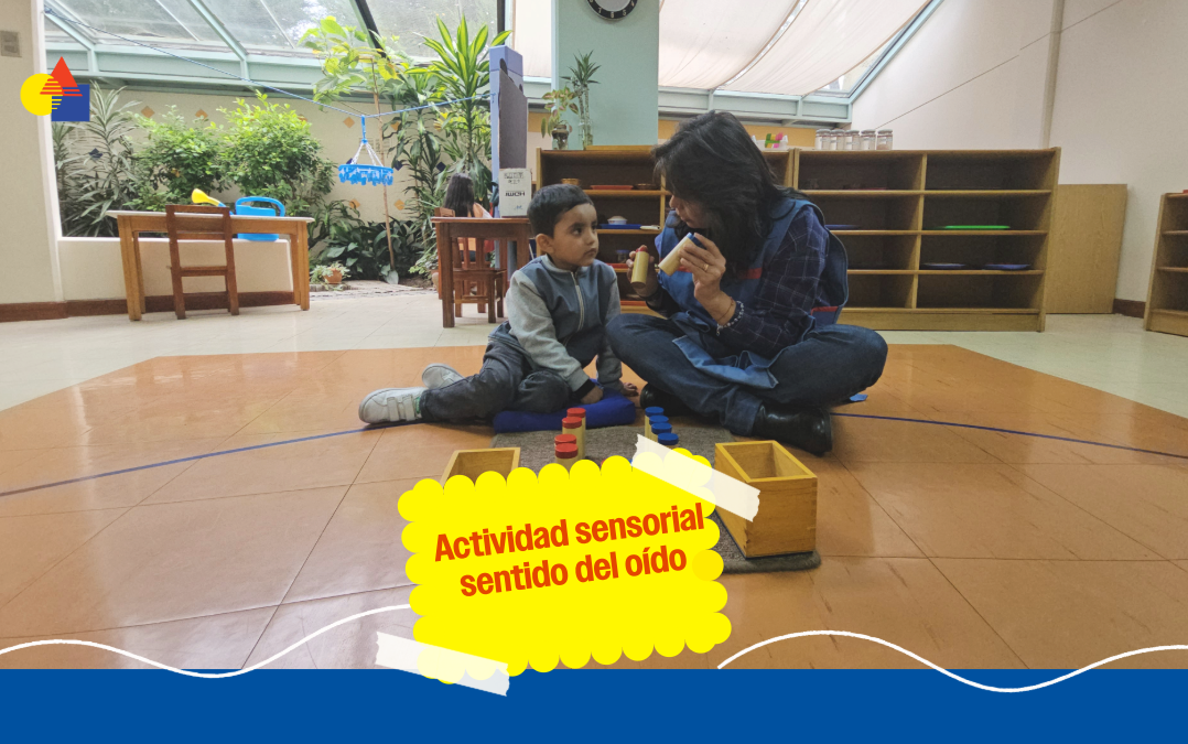 Actividad sensorial – sentido del oído