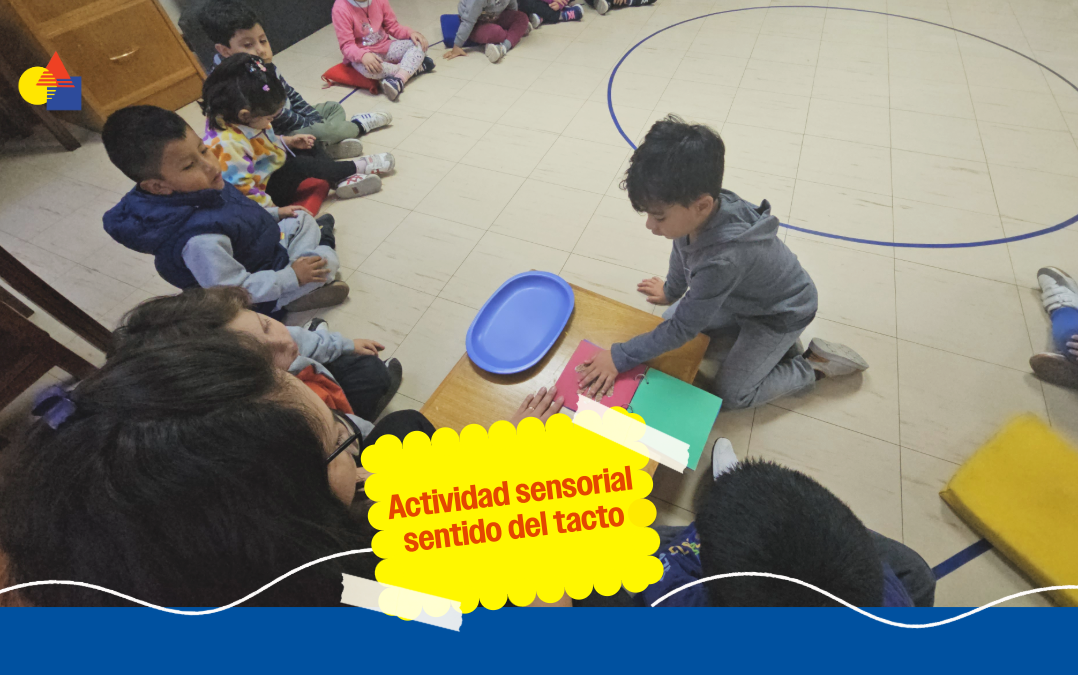 Actividad sensorial – sentido del tacto