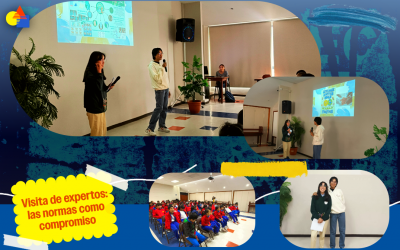 Visita de expertos: las normas como compromiso