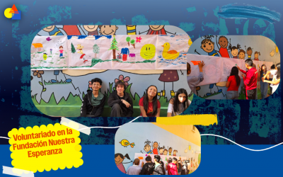 Voluntariado en la Fundación Nuestra Esperanza